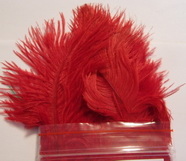 Ostridge  plumes  TURBO �������   ������� ����� 